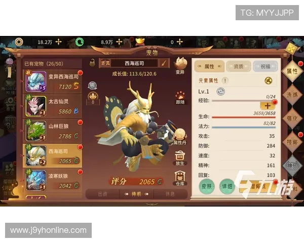 九游体育网站app常见问题解决方案，帮助用户轻松应对使用中的各种困扰